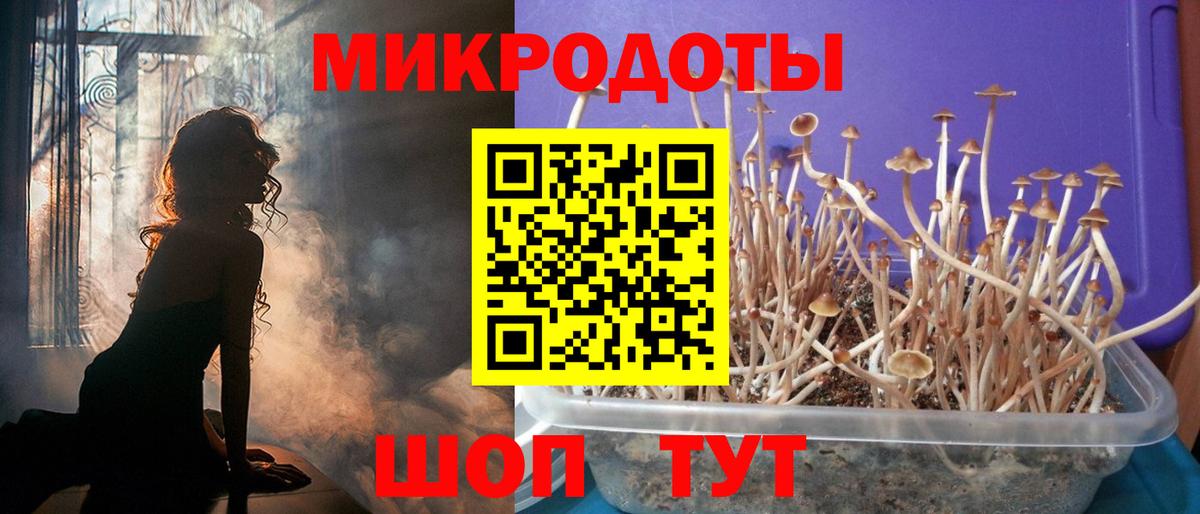 Псилоцибиновые грибы GOLDEN TEACHER Советск
