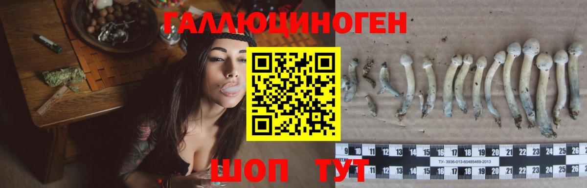 Псилоцибиновые грибы прущие грибы  Вход с VPN  Советск 